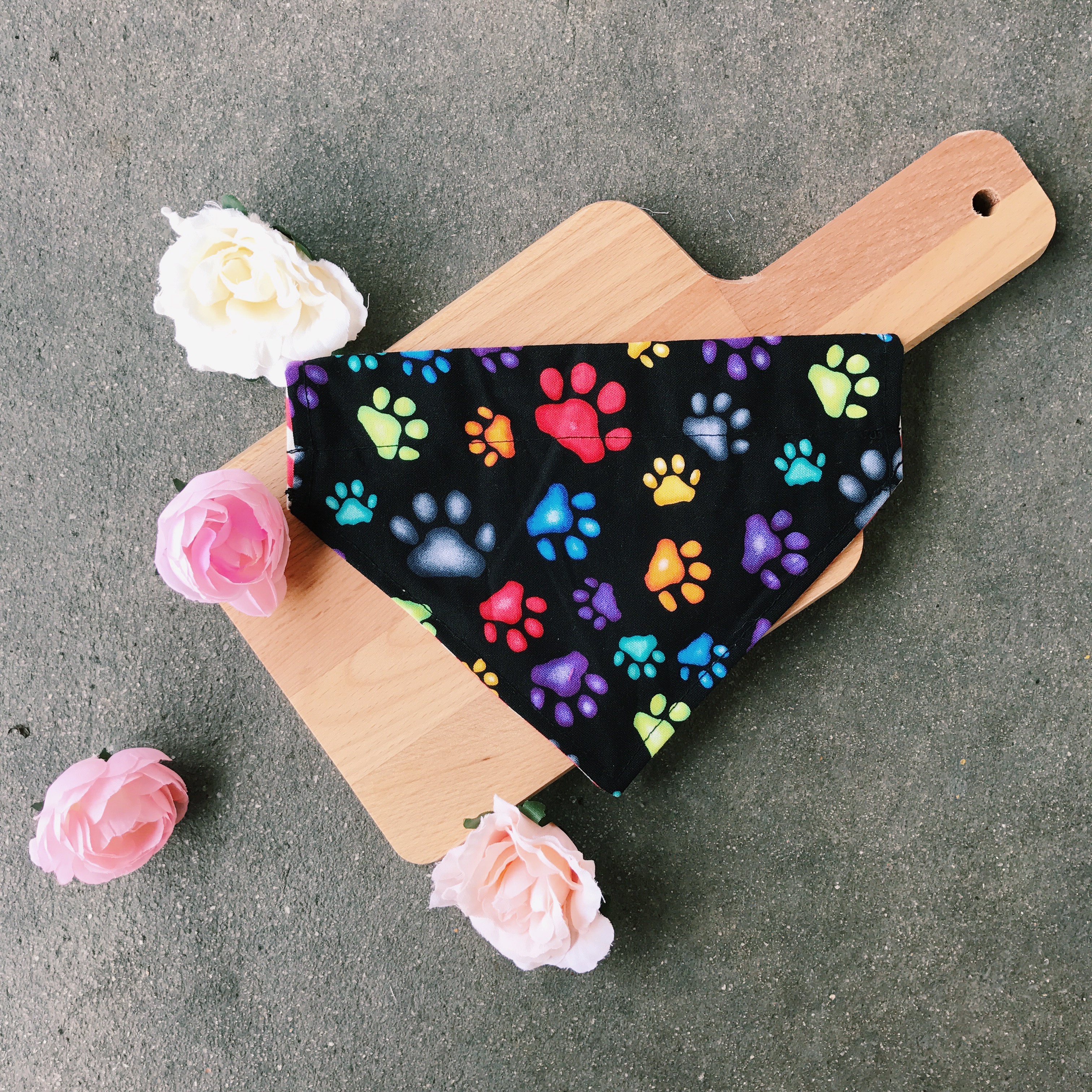 Reversible Bandana Suitable for collars – Rainbow Paws