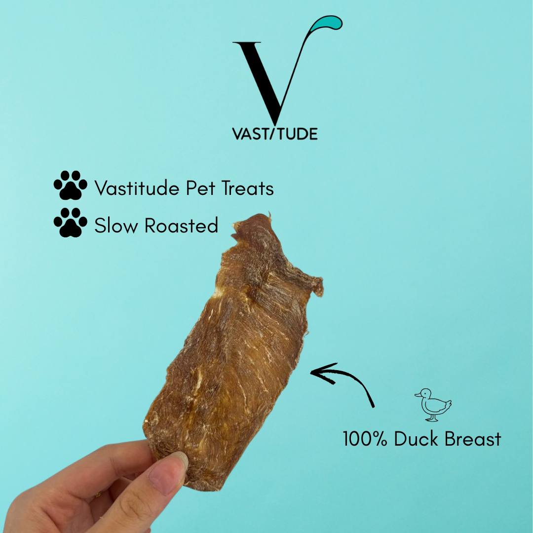 duck main