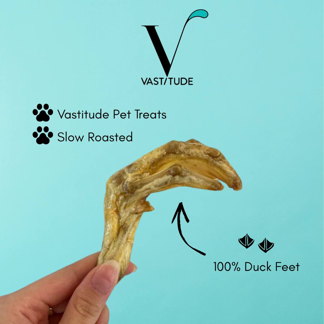 duck feet main