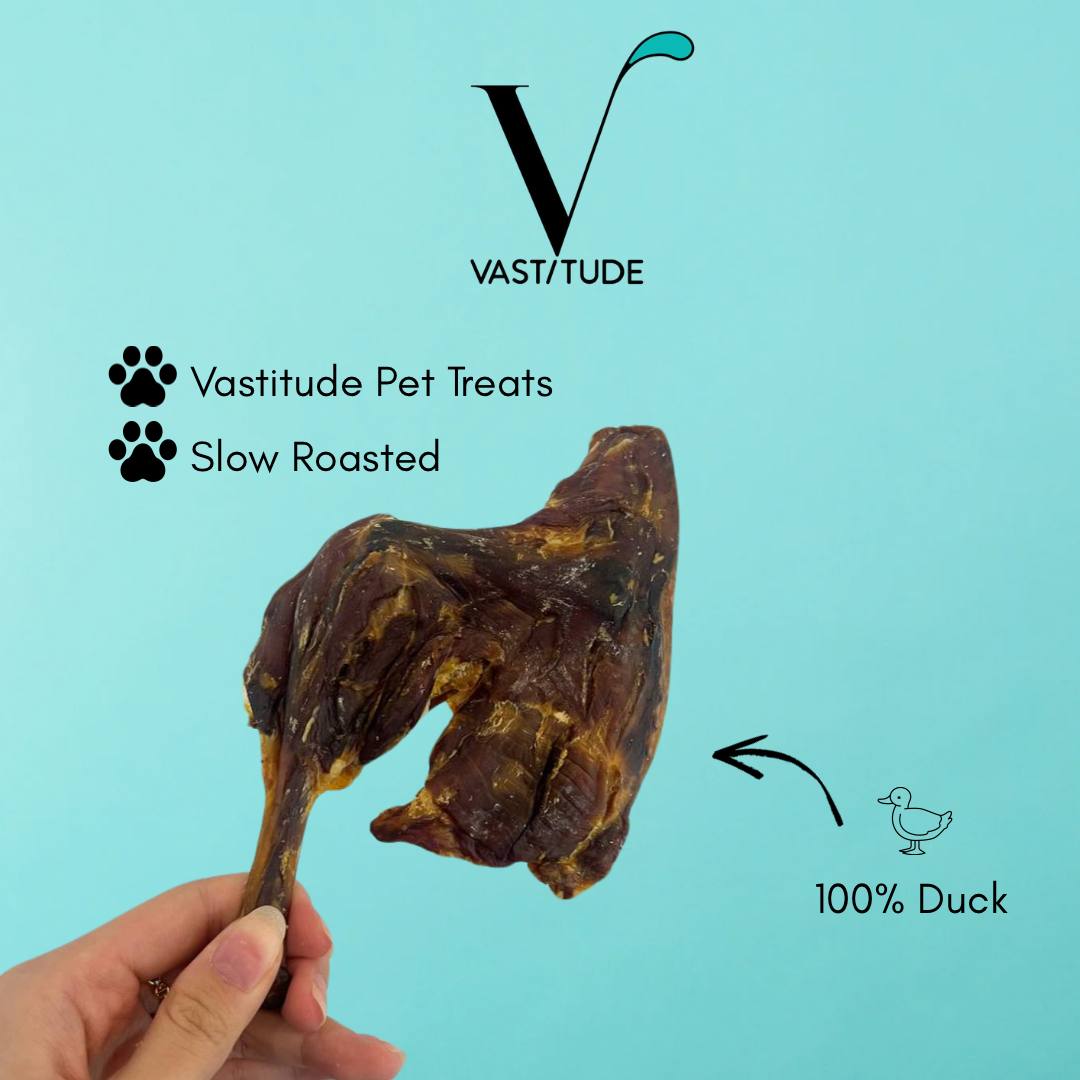 duck leg main