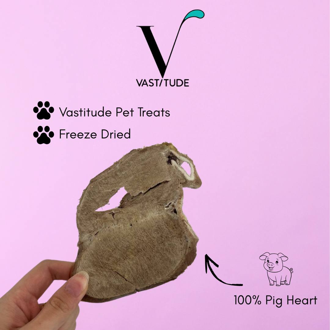 pig heart main
