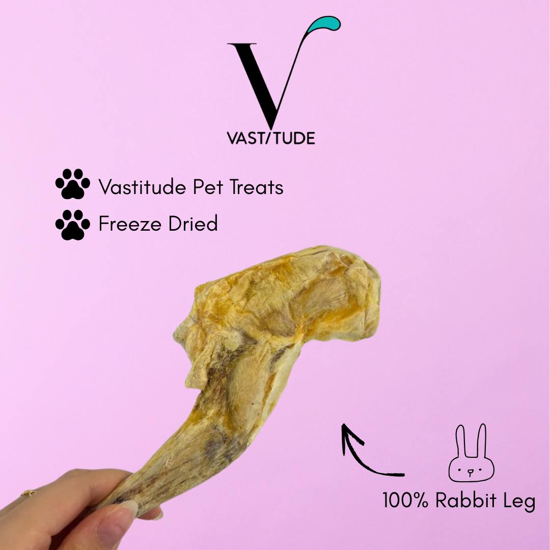 rabbit leg main